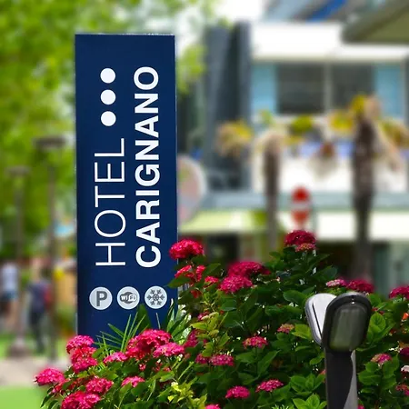 Отель Carignano